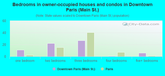 Bedrooms in owner-occupied houses and condos in Downtown Paris (Main St.)