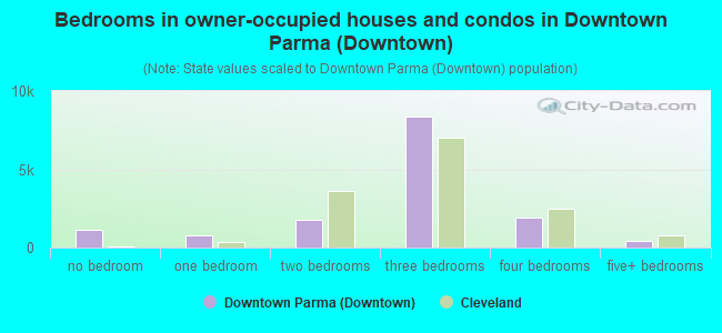 Bedrooms in owner-occupied houses and condos in Downtown Parma (Downtown)