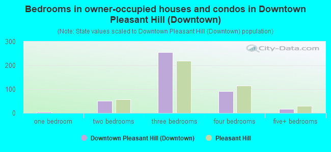 Bedrooms in owner-occupied houses and condos in Downtown Pleasant Hill (Downtown)