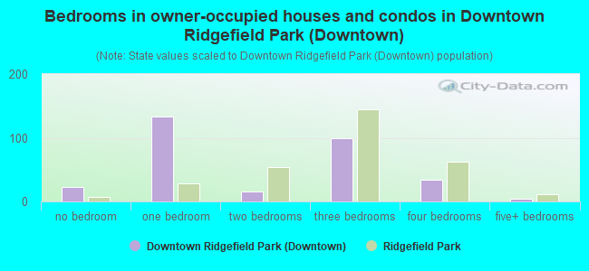 Bedrooms in owner-occupied houses and condos in Downtown Ridgefield Park (Downtown)