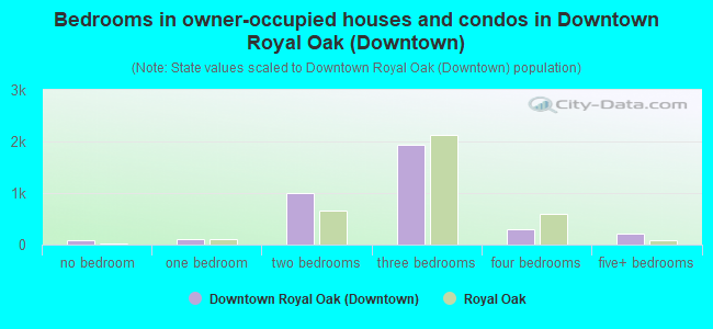 Bedrooms in owner-occupied houses and condos in Downtown Royal Oak (Downtown)
