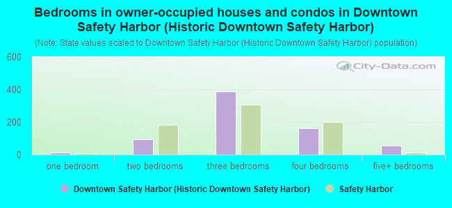 Bedrooms in owner-occupied houses and condos in Downtown Safety Harbor (Historic Downtown Safety Harbor)