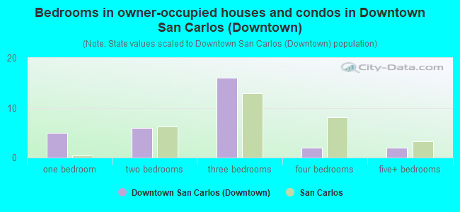 Bedrooms in owner-occupied houses and condos in Downtown San Carlos (Downtown)