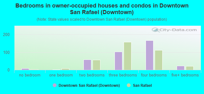 Bedrooms in owner-occupied houses and condos in Downtown San Rafael (Downtown)