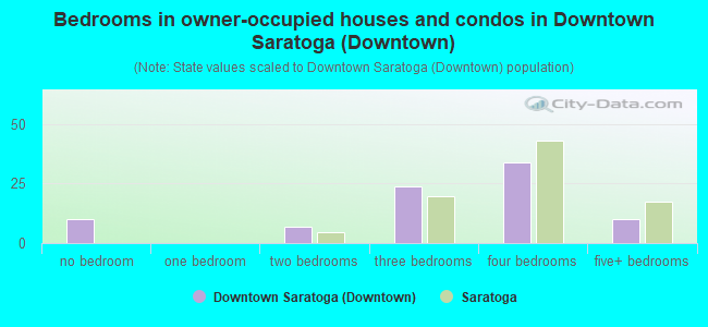 Bedrooms in owner-occupied houses and condos in Downtown Saratoga (Downtown)