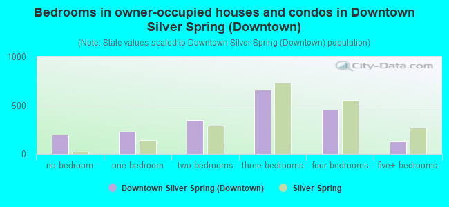 Bedrooms in owner-occupied houses and condos in Downtown Silver Spring (Downtown)