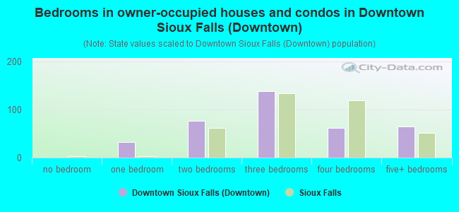 Bedrooms in owner-occupied houses and condos in Downtown Sioux Falls (Downtown)