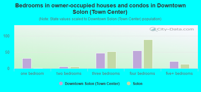 Bedrooms in owner-occupied houses and condos in Downtown Solon (Town Center)