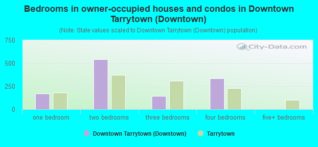 Bedrooms in owner-occupied houses and condos in Downtown Tarrytown (Downtown)