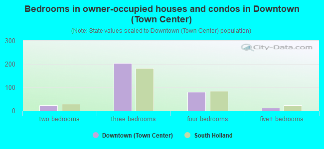 Bedrooms in owner-occupied houses and condos in Downtown (Town Center)