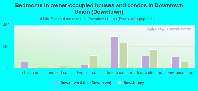 Bedrooms in owner-occupied houses and condos in Downtown Union (Downtown)