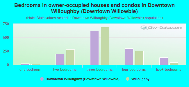 Bedrooms in owner-occupied houses and condos in Downtown Willoughby (Downtown Willowbie)