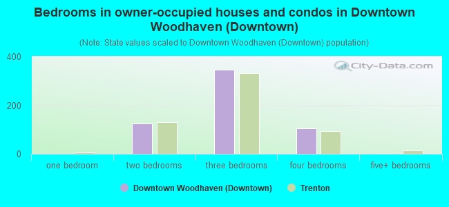 Bedrooms in owner-occupied houses and condos in Downtown Woodhaven (Downtown)