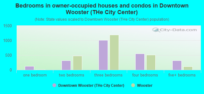Bedrooms in owner-occupied houses and condos in Downtown Wooster (THe City Center)