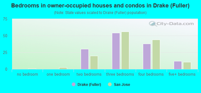 Bedrooms in owner-occupied houses and condos in Drake (Fuller)