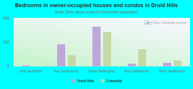 Bedrooms in owner-occupied houses and condos in Druid Hills