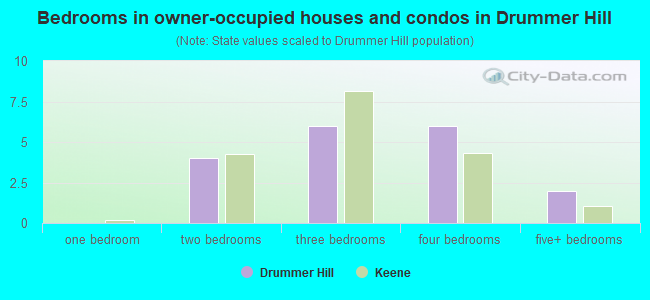 Bedrooms in owner-occupied houses and condos in Drummer Hill
