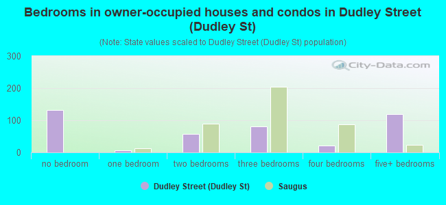 Bedrooms in owner-occupied houses and condos in Dudley Street (Dudley St)