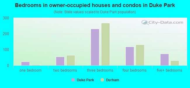 Bedrooms in owner-occupied houses and condos in Duke Park