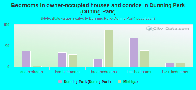 Bedrooms in owner-occupied houses and condos in Dunning Park (Duning Park)