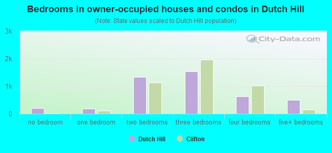 Bedrooms in owner-occupied houses and condos in Dutch Hill