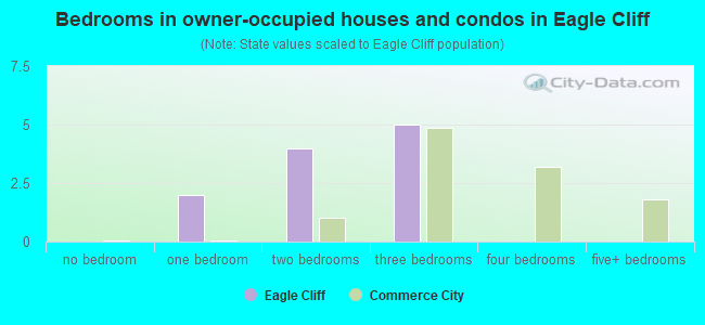 Bedrooms in owner-occupied houses and condos in Eagle Cliff