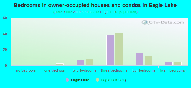 Bedrooms in owner-occupied houses and condos in Eagle Lake