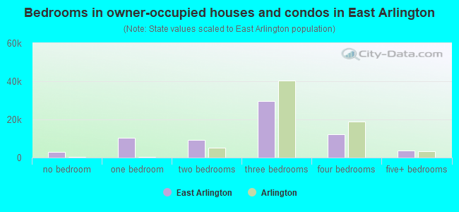 Bedrooms in owner-occupied houses and condos in East Arlington
