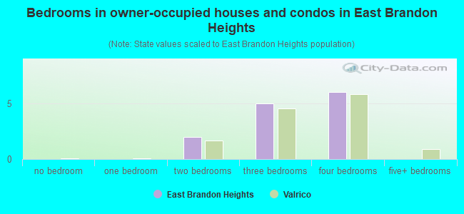 Bedrooms in owner-occupied houses and condos in East Brandon Heights