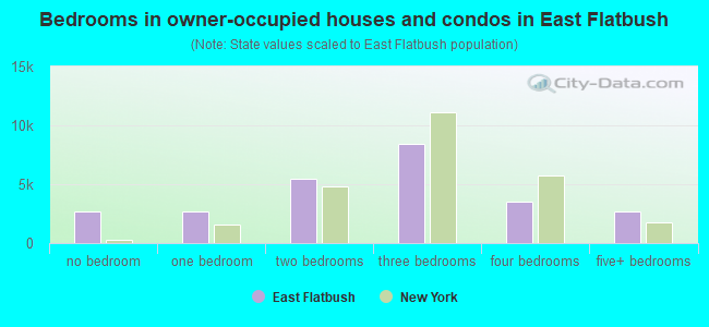 Bedrooms in owner-occupied houses and condos in East Flatbush