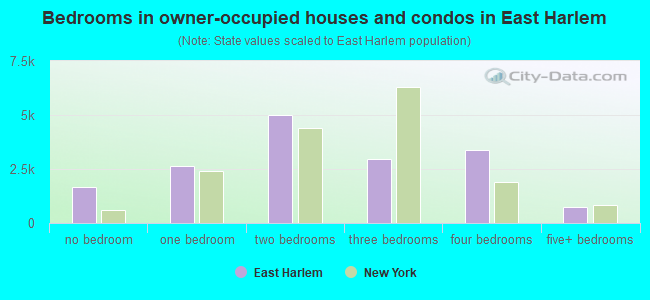 Bedrooms in owner-occupied houses and condos in East Harlem