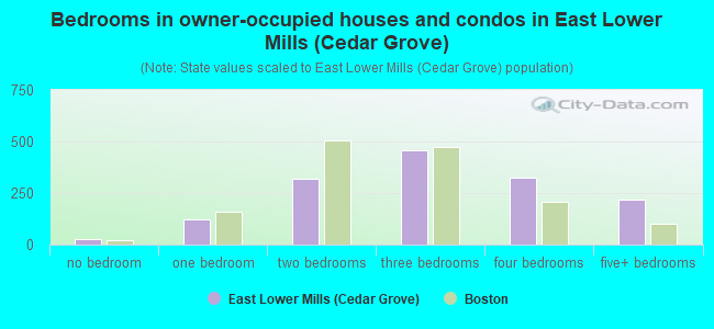 Bedrooms in owner-occupied houses and condos in East Lower Mills (Cedar Grove)