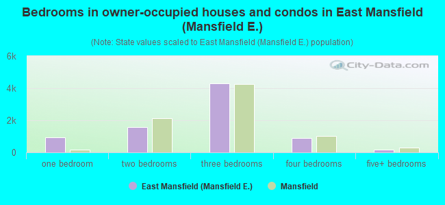 Bedrooms in owner-occupied houses and condos in East Mansfield (Mansfield E.)