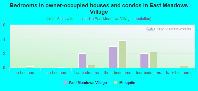 Bedrooms in owner-occupied houses and condos in East Meadows Village