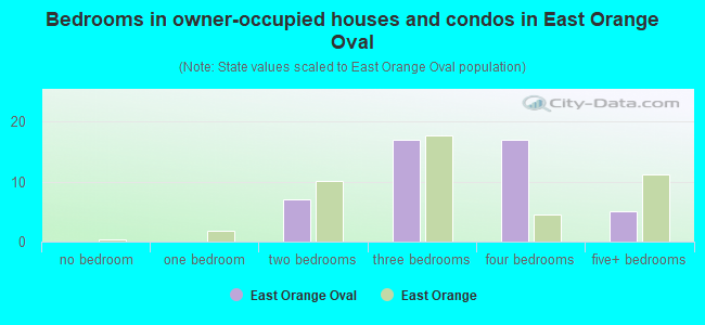 Bedrooms in owner-occupied houses and condos in East Orange Oval