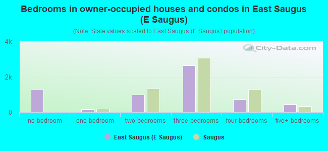 Bedrooms in owner-occupied houses and condos in East Saugus (E Saugus)