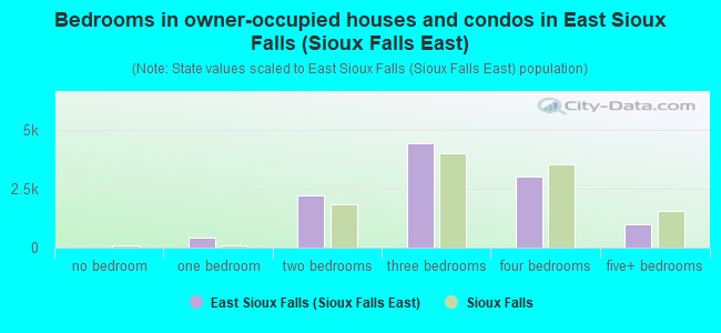 Bedrooms in owner-occupied houses and condos in East Sioux Falls (Sioux Falls East)