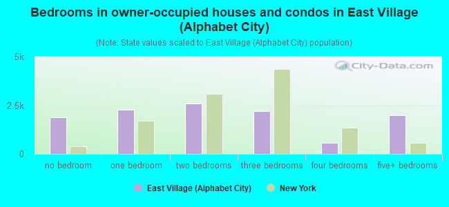 Bedrooms in owner-occupied houses and condos in East Village (Alphabet City)