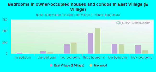 Bedrooms in owner-occupied houses and condos in East Village (E Village)