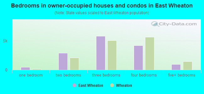 Bedrooms in owner-occupied houses and condos in East Wheaton