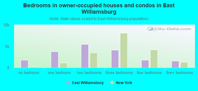 Bedrooms in owner-occupied houses and condos in East Williamsburg