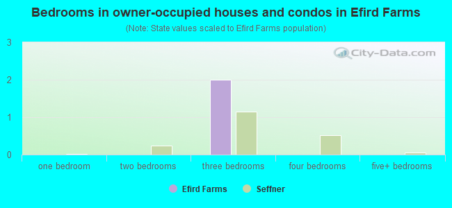 Bedrooms in owner-occupied houses and condos in Efird Farms