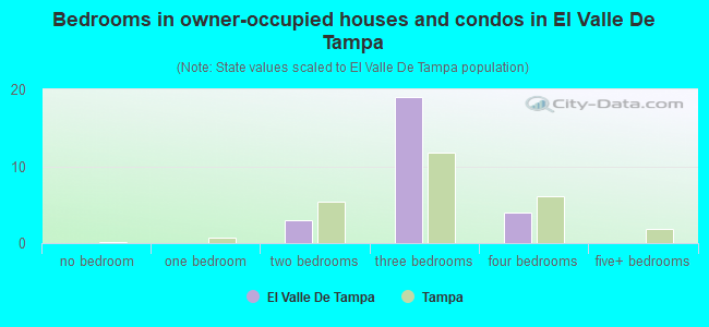 Bedrooms in owner-occupied houses and condos in El Valle De Tampa
