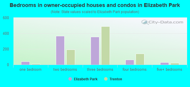 Bedrooms in owner-occupied houses and condos in Elizabeth Park