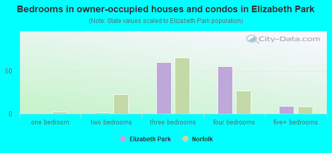 Bedrooms in owner-occupied houses and condos in Elizabeth Park