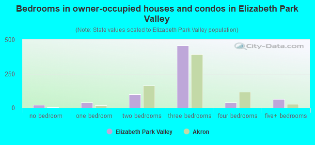 Bedrooms in owner-occupied houses and condos in Elizabeth Park Valley