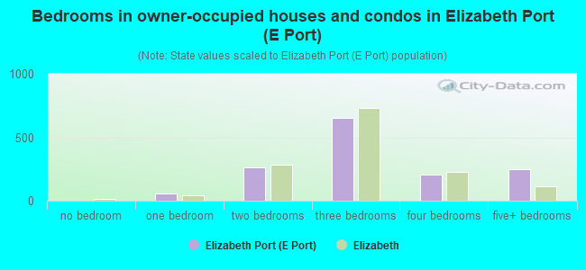 Bedrooms in owner-occupied houses and condos in Elizabeth Port (E Port)