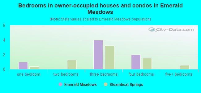 Bedrooms in owner-occupied houses and condos in Emerald Meadows