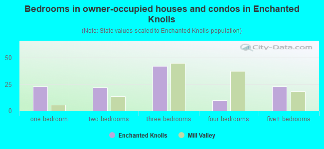 Bedrooms in owner-occupied houses and condos in Enchanted Knolls