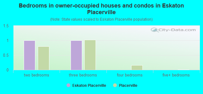 Bedrooms in owner-occupied houses and condos in Eskaton Placerville